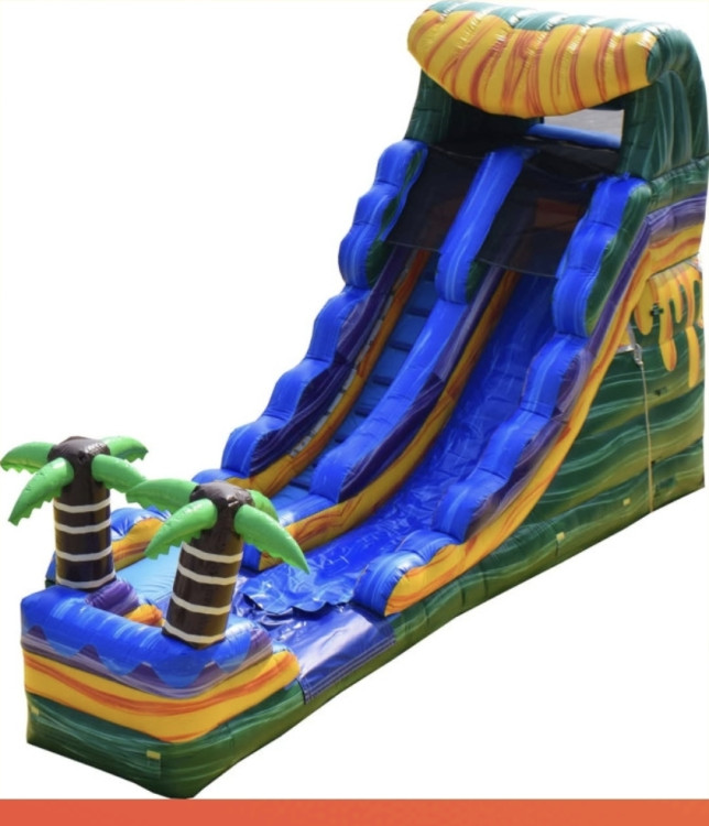 Slides (Wet/Dry)